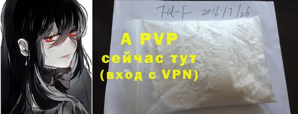 прущие грибы Заводоуковск