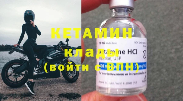 прущие грибы Заводоуковск