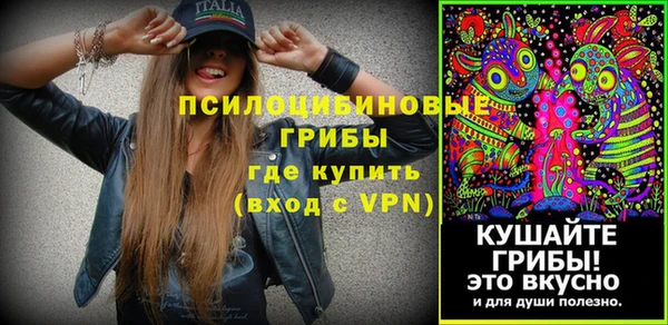 соль ск Заволжье