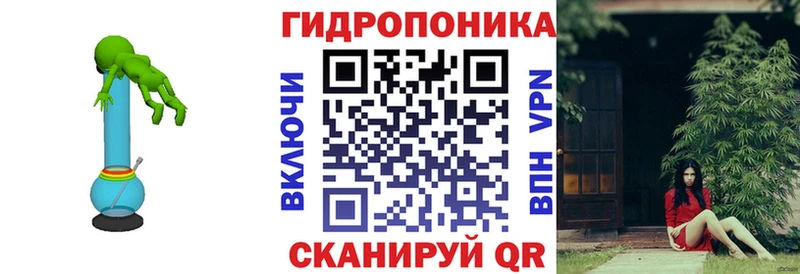 Каннабис Amnesia Купить закладки Лесной